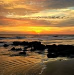 David Anthony Hillis - Facebook