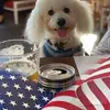 Anthony Hinchey873 - @anthonyhinchey873 - TikTok