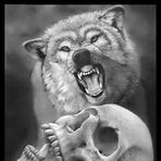 Anthony Hinchey - Facebook