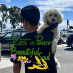 Anthony Hinchey - @hincheyanthony - Instagram