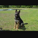 Anthony Hinkson - Facebook