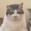 Anthony Ho - @anthony53511 - TikTok