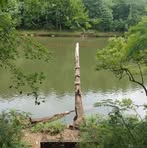 Anthony Holliday - Facebook