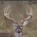 Anthony Huffman - Facebook