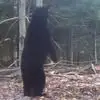 Anthony Huffman - @anthony.huffman89 - TikTok