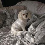Anthony Ioannou - @ioannouanthony - Instagram