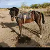 Anthony jaime - @anthony.jaime69 - TikTok