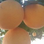 Anthony Jeffrey - @anthony.jeffrey.940 - Instagram