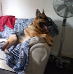 Anthony Justice - Facebook