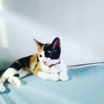 Anthony juvera - @anthonyjuvera1423 - Instagram
