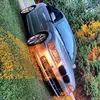 Anthony Kearns659 - @anthonykearns659 - TikTok