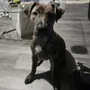 Anthony Keelan - @anthony.keelan7 - TikTok