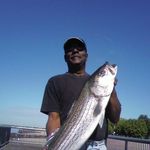 Anthony Kenney - @anthony.kenney.58 - Instagram