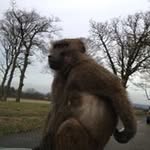 Anthony Kenny - @anthonykenny5 - Instagram