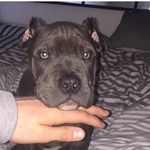 Anthony Kenny - @anthony_kenny00 - Instagram