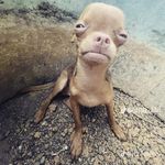 @anthony_kidwell253 - Instagram