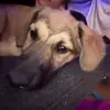 Fuck off - @anthony.skipper - TikTok