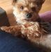 Anthony Kirby - Facebook