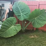 Anthony Kochanski - @anthonykochanski - Instagram