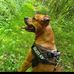 Anthony Kovacs - Facebook