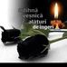 Tony Kovacs - Facebook