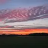 Anthony Koziol - @anthonykoziol - TikTok