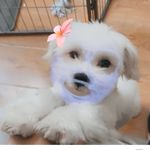 @anthony.krol - Instagram