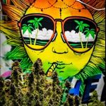 Anthony Lacy - @northern_sun_organics - Instagram