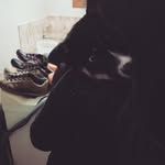 Antony Ladner - @niazebatian2 - Instagram