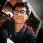 Danfer Anthony Laines Palomino - @anthonylaines1499 - Instagram