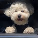 Norbert Anthony Lance - @norbielance - Instagram