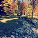 Anthony Lanci - Facebook