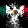 Anthony Landeros - @anthonylanderos0 - TikTok