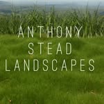 Anthony Stead Landscapes - @anthonysteadlandscapes - Instagram