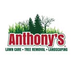 Anthony’s Lawn Care Tree Removal and Landscaping - @anthonyslawnandlandscape - Instagram