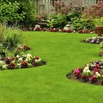 Kerwin - @anthony_landscaping - Instagram