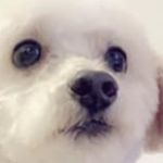 Anthony Lanza - @anthony_lanza_ - Instagram