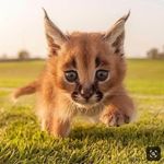 Anthony Laroche - @l72712394 - Instagram