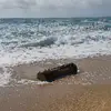 anthonylaroche981 - @anthonylaroche981 - TikTok