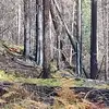 Anthony Ledbetter - @anthony.ledbetter5 - TikTok