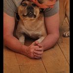 Anthony Lees - Facebook