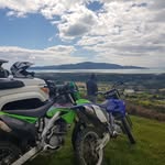 Anthony Lees - @lees3034 - Instagram