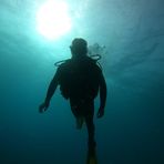 Anthony Lees - Facebook
