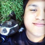 anthonylees - @anthonylees - Instagram