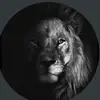 Anthony - @anthonyleonardinho - TikTok