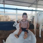 Anthony Levy - Facebook