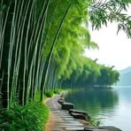 Anthony Lu - Facebook
