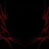 Anthony Lu - @anthony.lu2 - TikTok
