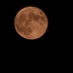 Anthony Ludwig - @tldwg99 - Instagram