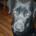 Anthony Lumpkin - Facebook